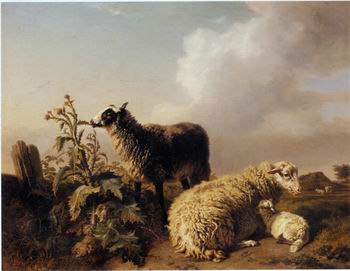 unknow artist Sheep 150